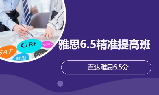 雅思6.5精准提高班
