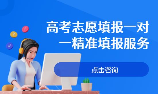 高考志愿填报一对一精准填报服务