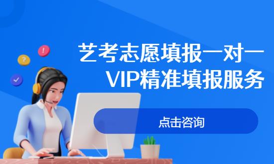 艺考志愿填报一对一VIP精准填报服务