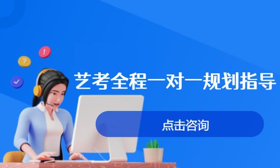 艺考全程一对一规划指导