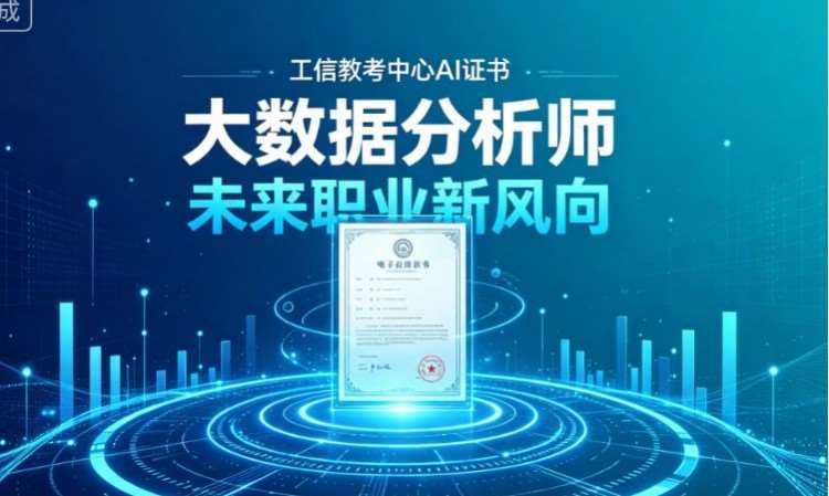 大数据分析师