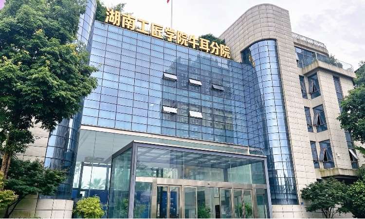 校区环境