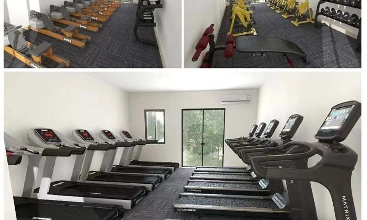学校健身器材