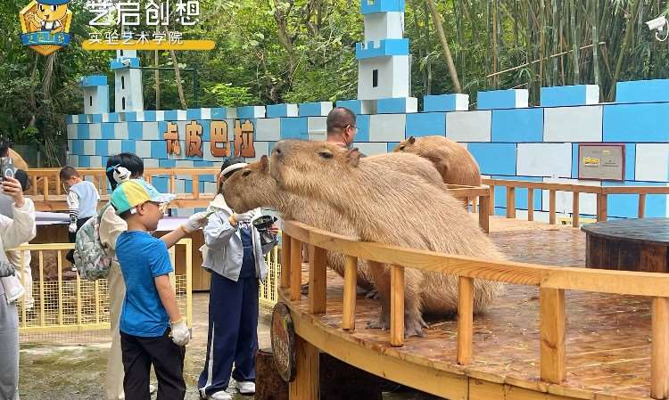 户外活动-动物园