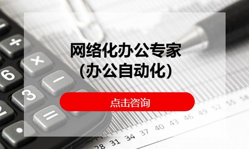 网络化办公专家（办公自动化）