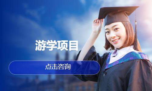 游学项目
