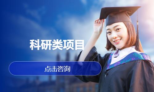 科研类项目