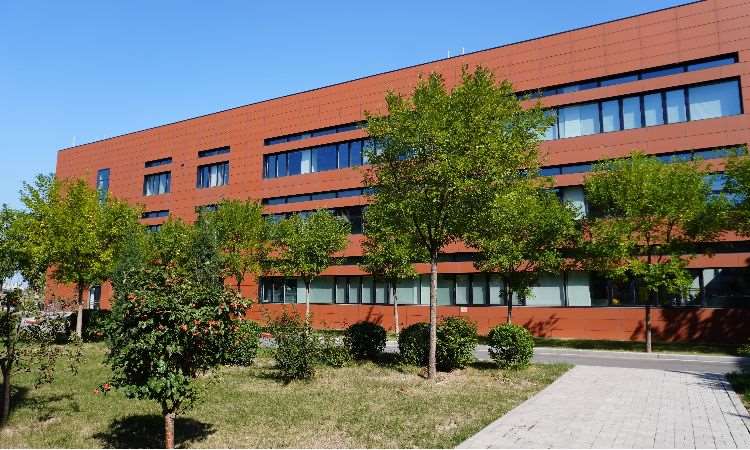 学校环境