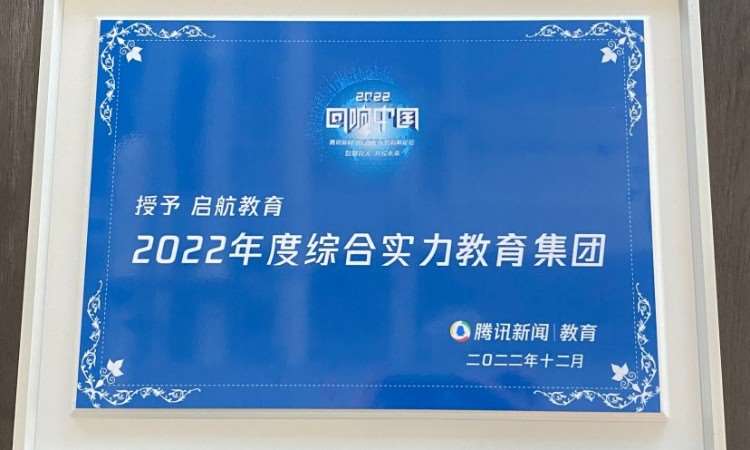 2022年度综合实力教育集团