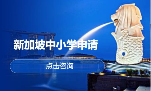 新加坡中小学申请