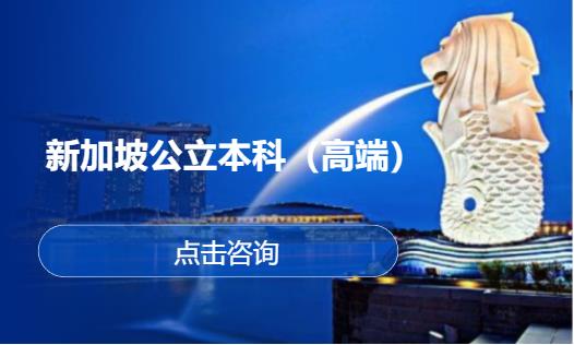 新加坡公立本科（高端）
