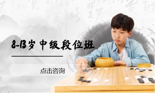 8-13岁中级段位班