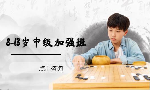 8-13岁中级加强班