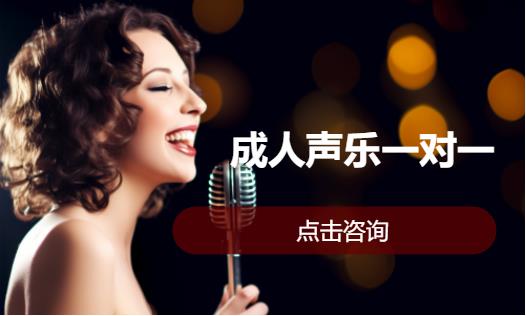 成人声乐一对一