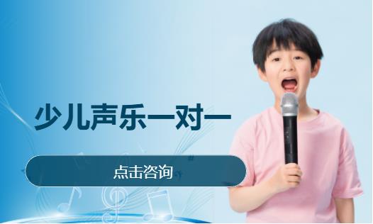  少儿声乐一对一