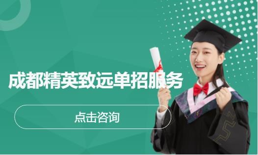 成都精英致远单招服务