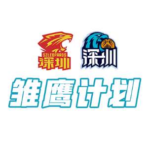 深圳雏鹰计划