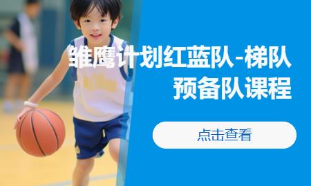 雏鹰计划红蓝队（梯队预备队课程）