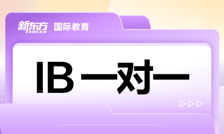安阳****学校（未认证机构）