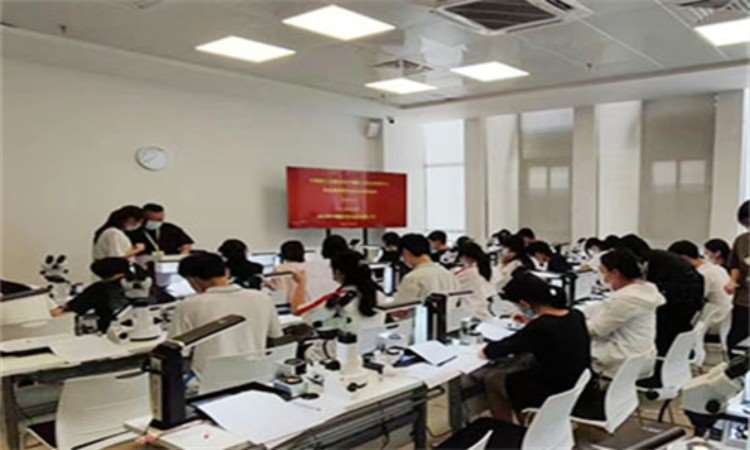 广州****学校（未认证机构）